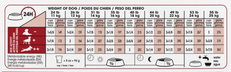 جدول میزان استفاده غذا خشک رویال مدیوم ادالت