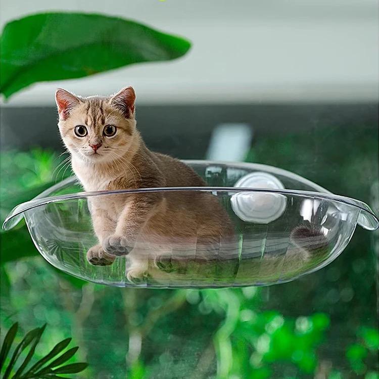 جای خواب گربه قابل اتصال به شیشه
