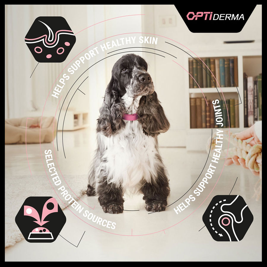 غذا خشک سگ پروپلن مینی ادالت با پوست و مو حساس با طعم سالمون Purina Pro Plan Sensitive Skin Small and Mini Adult