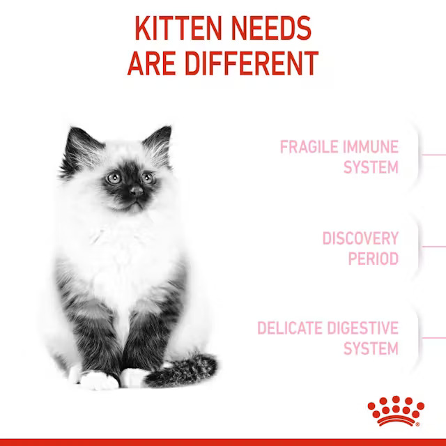 غذای خشک بچه گربه کیتن رویال کنین Royal Canin Kitten