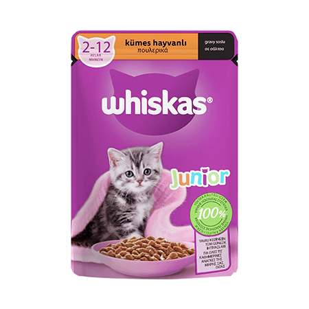 پوچ بچه گربه ویسکاس با طعم مرغ در سس Whiskas chicken in gravy وزن 85 گرم