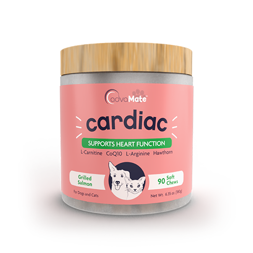 مکمل قلب سگ و گربه کاردیاک ادواکر advacare cardiac