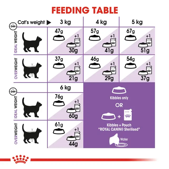 غذای خشک گربه عقیم شده رویال کنین Royal Canin Regular Sterilised