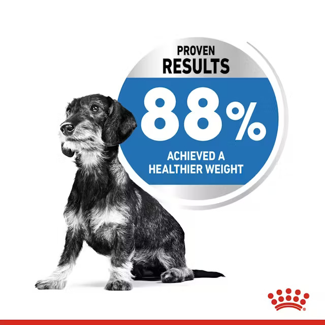رویال کنین مینی لایت ویت royal canin mini light weight