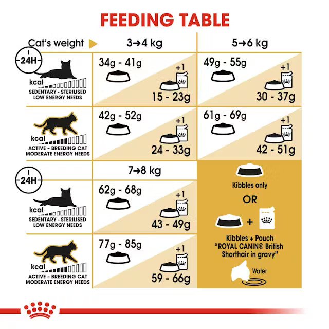 غذای گربه بالغ بریتیش رویال کنین Royal Canin British Shorthair