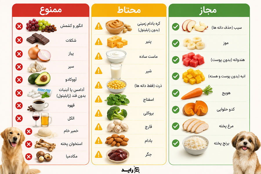 اینفوگرافیک خوراکی های مجاز و ممنوع برای سگ