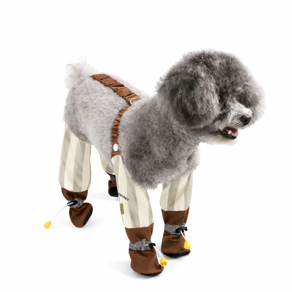 کفش لباسی ضد آب سگ و گربه