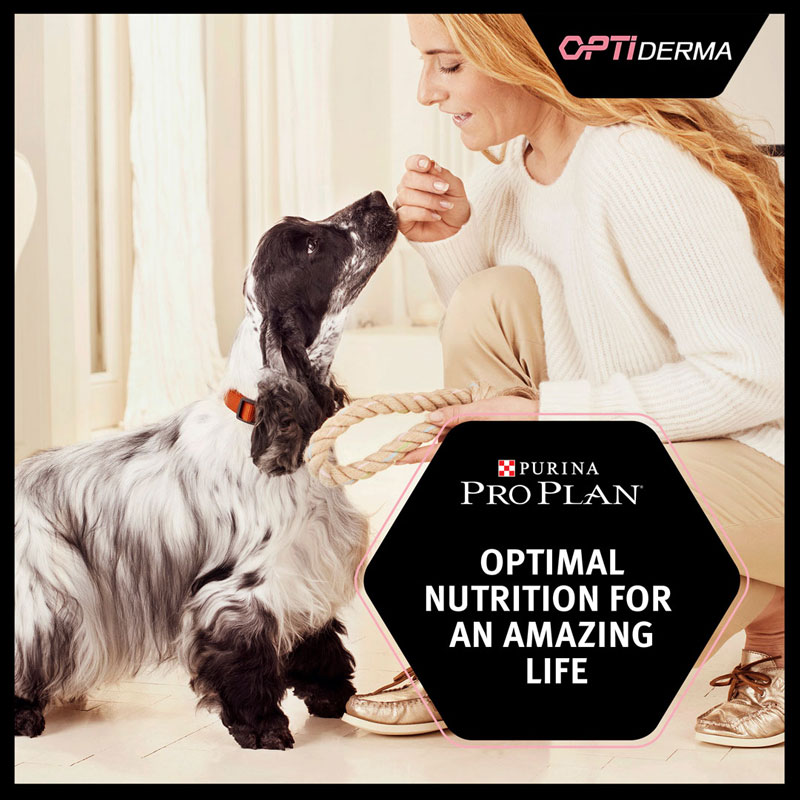 غذا خشک سگ پروپلن مینی ادالت با پوست و مو حساس با طعم سالمون Purina Pro Plan Sensitive Skin Small and Mini Adult