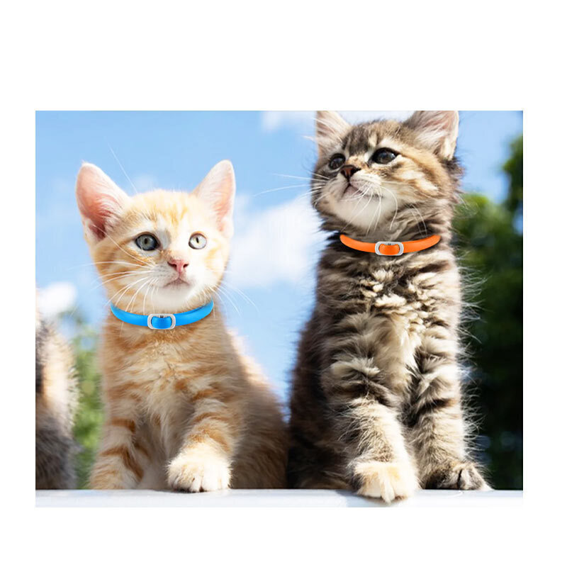 قلاده ضد کک و کنه گربه اویمال آبی و نارنجی Oimmal Flea & Tick Collar For Cats بسته 4 عددی