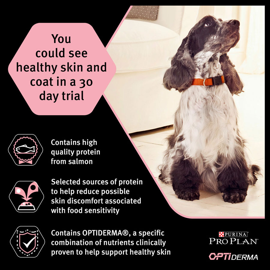 غذا خشک سگ پروپلن مینی ادالت با پوست و مو حساس با طعم سالمون Purina Pro Plan Sensitive Skin Small and Mini Adult