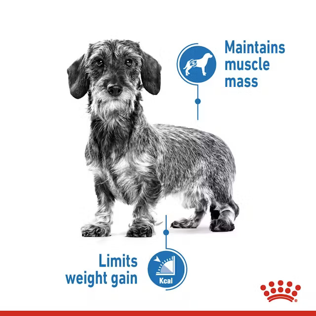 رویال کنین مینی لایت ویت royal canin mini light weight