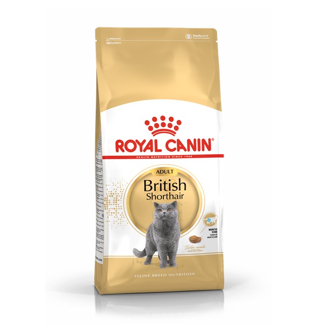 غذای گربه بالغ بریتیش رویال کنین Royal Canin British Shorthair