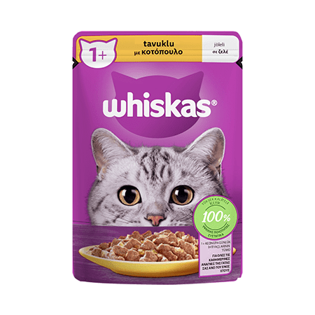 پوچ گربه ویسکاس با طعم مرغ در سس Whiskas chicken in gravy وزن 85 گرم