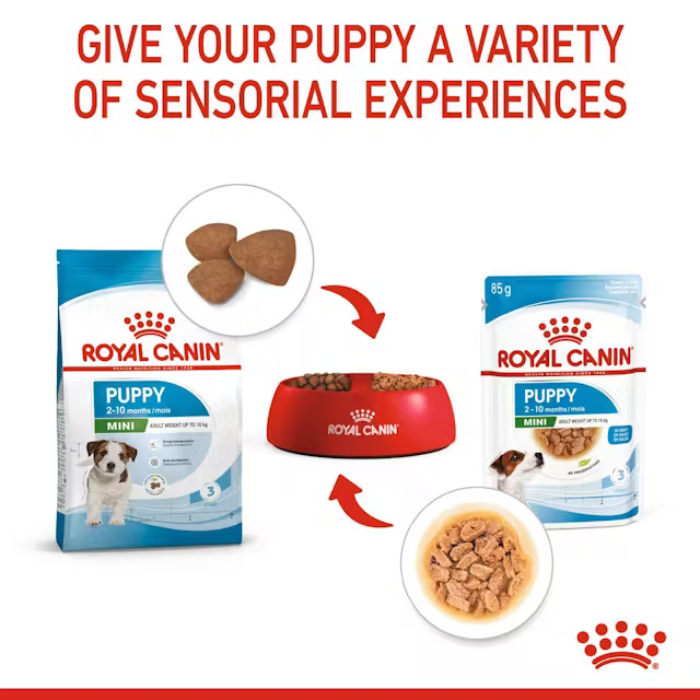 پوچ سگ مینی پاپی رویال کنین 85 گرم (Royal Canin Dog Mini puppy Pouch)