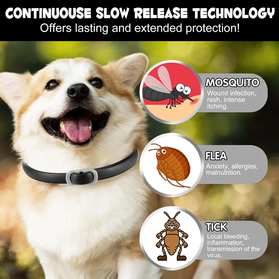قلاده ضد کک و کنه سگ اویمال رنگ مشکی 4 عددی oimmal flea & tick collar