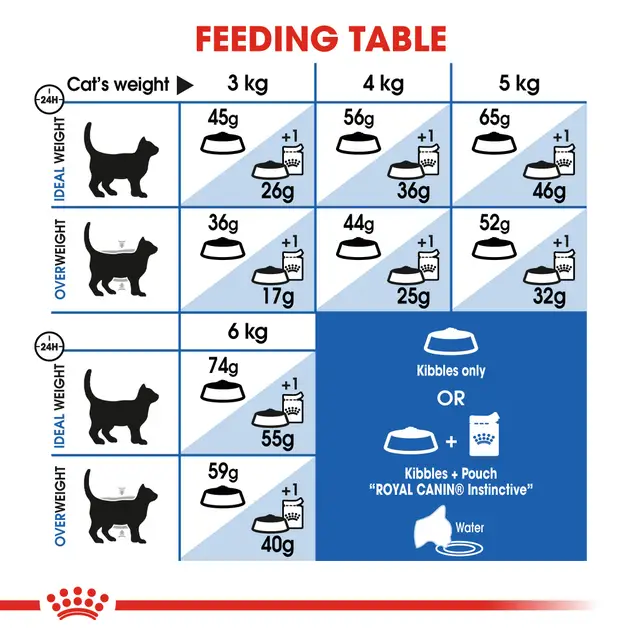 غذای خشک گربه ایندور رویال کنین Royal canin Indoor Home Life