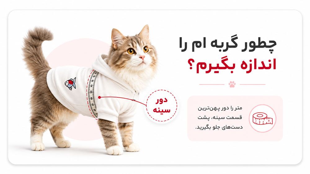 چطور سایز گربه رو بگیرم