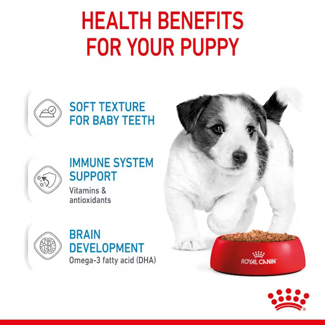 پوچ سگ مینی پاپی رویال کنین 85 گرم (Royal Canin Dog Mini puppy Pouch)