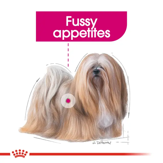 غذا خشک سگ رویال کنین اگزیجنت royal canin exigent