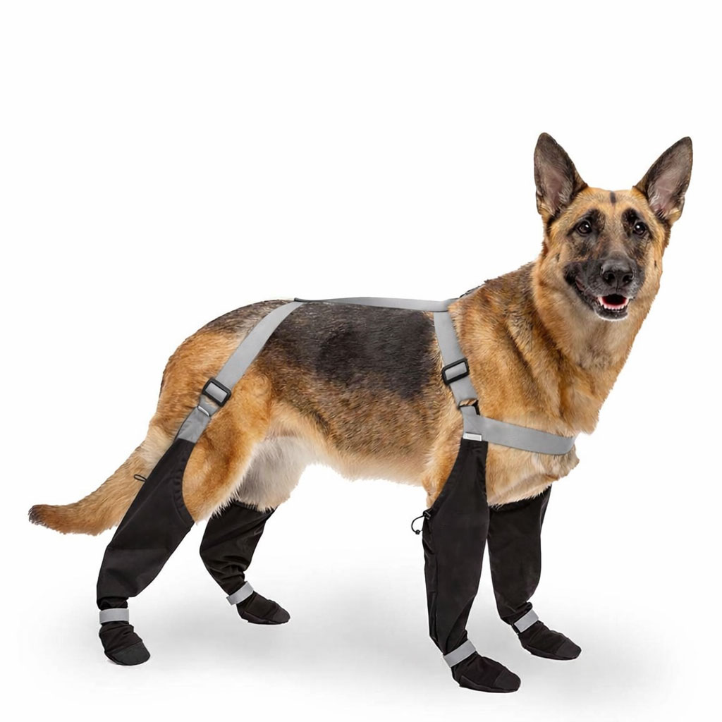 کفش لباسی ضد آب سگ و گربه