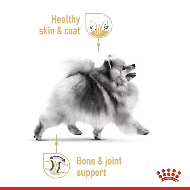 غذا خشک رویال کنین مخصوص نژاد پامرانین royal canin pomeranian