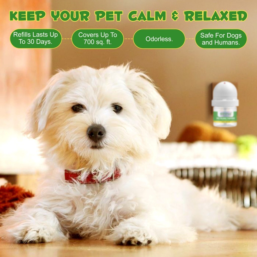 کیت پخش کننده فرومون آرام بخش سگ اویمال Oimmal Dog Calming Pheromone Diffuser Kit