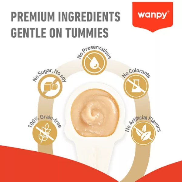 بستنی قاشقی گربه ونپی با طعم سالمون Wanpy Lickable Cream