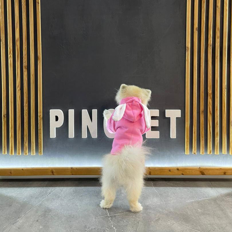 لباس هودی سگ و گربه گوش خرگوشی جدید