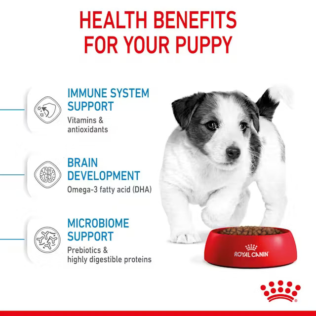 غذای خشک سگ مینی پاپی رویال کنین  Royal Canin