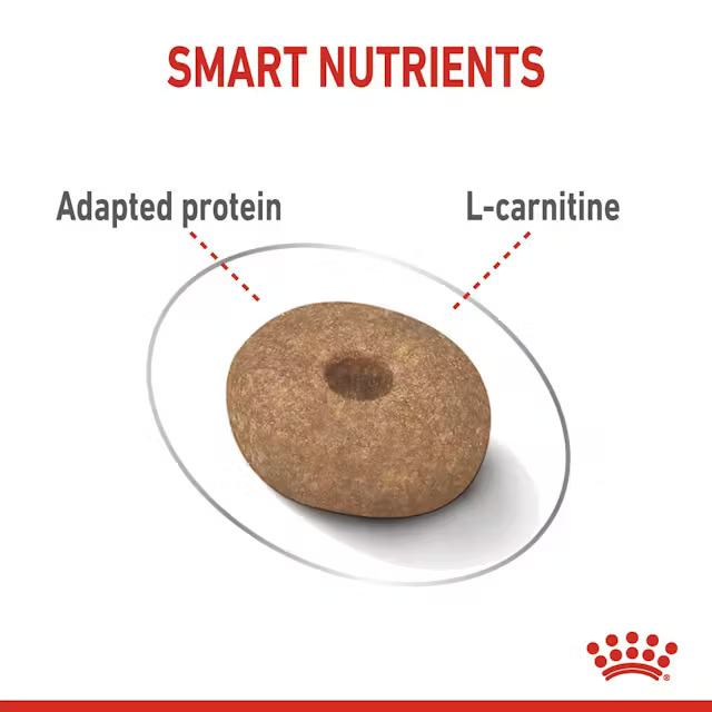 رویال کنین مینی لایت ویت royal canin mini light weight