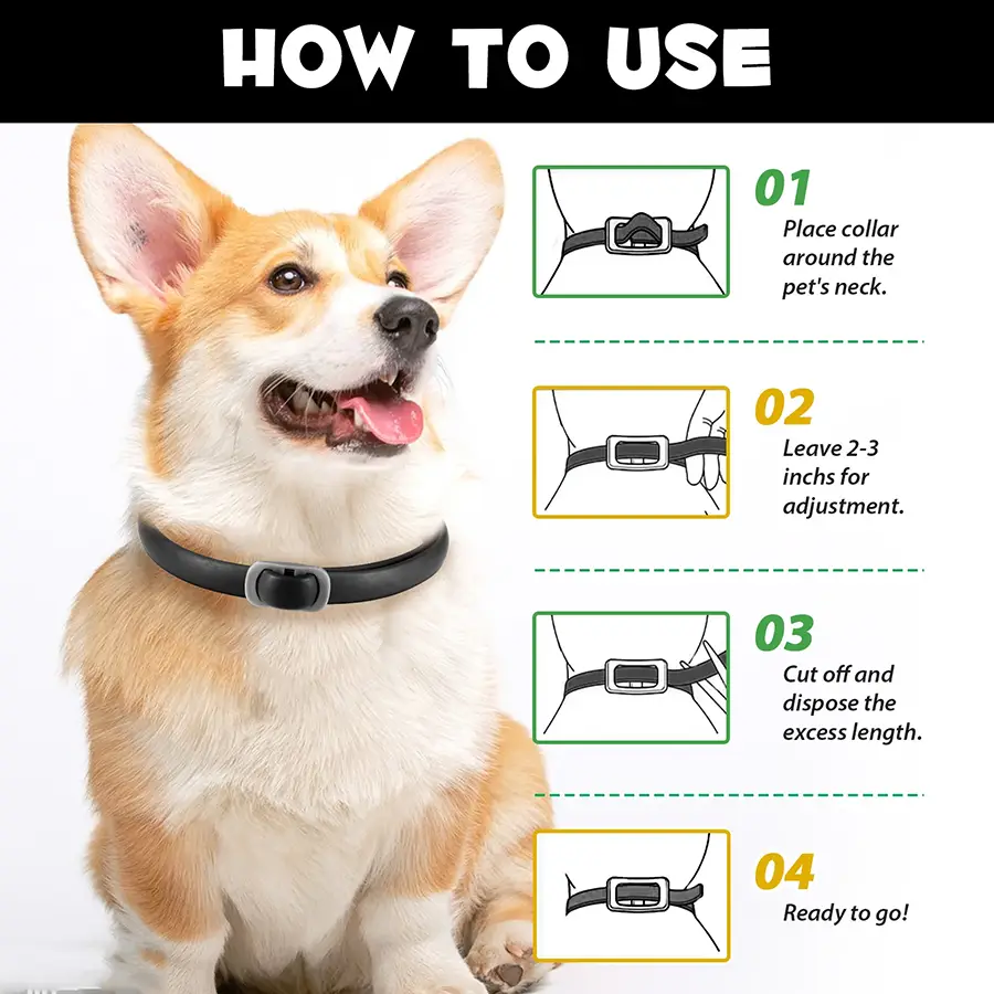 قلاده ضد کک و کنه سگ اویمال رنگ مشکی 4 عددی oimmal flea & tick collar
