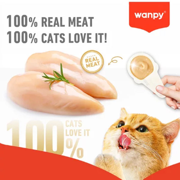 بستنی قاشقی گربه ونپی با طعم مرغ Wanpy Lickable Cream
