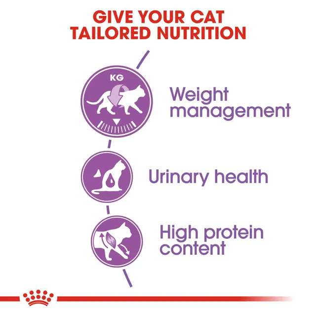 غذای خشک گربه عقیم شده رویال کنین Royal Canin Regular Sterilised