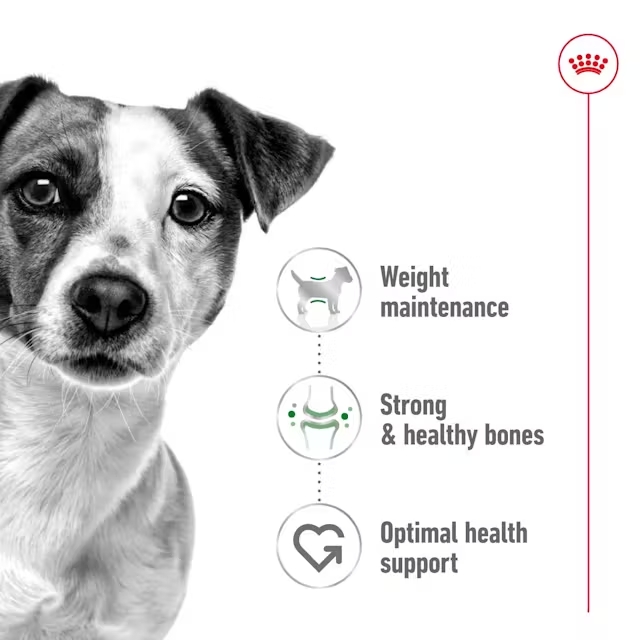 غذا خشک سگ رویال کنین مینی ادالت جدید royal canin mini adult