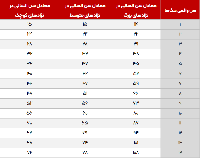 مقایسه و تبدیل سن سگ به انسان