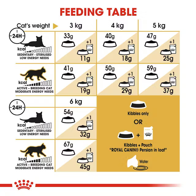 غذا خشک گربه پرشین رویال کنین Royal Canin Persian Adult