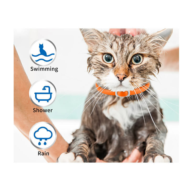 قلاده ضد کک و کنه گربه اویمال آبی و نارنجی Oimmal Flea & Tick Collar For Cats بسته 4 عددی