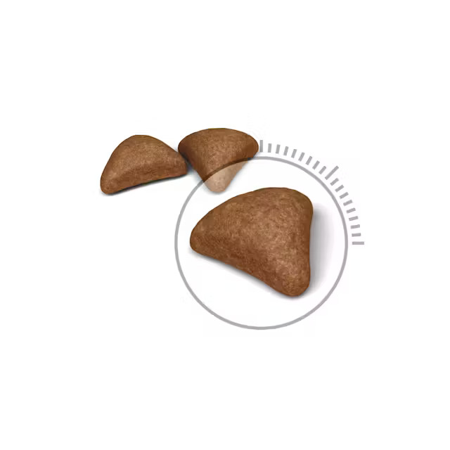 غذای خشک گربه رویال کنین مدل هیربال Royal canin Hairball Care