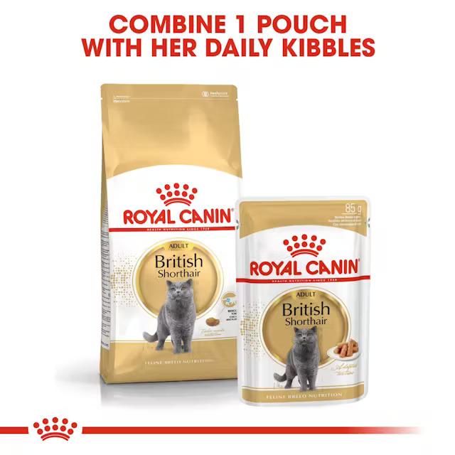 غذای گربه بالغ بریتیش رویال کنین Royal Canin British Shorthair