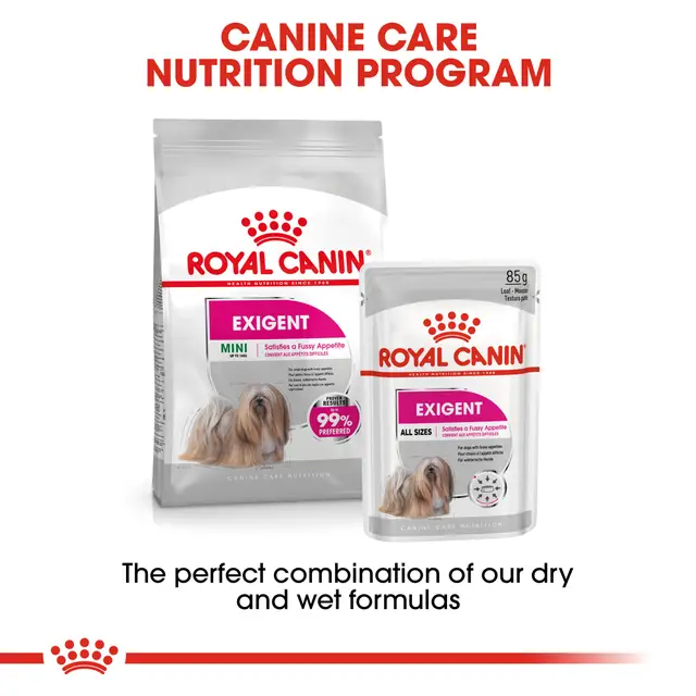 غذا خشک سگ رویال کنین اگزیجنت royal canin exigent