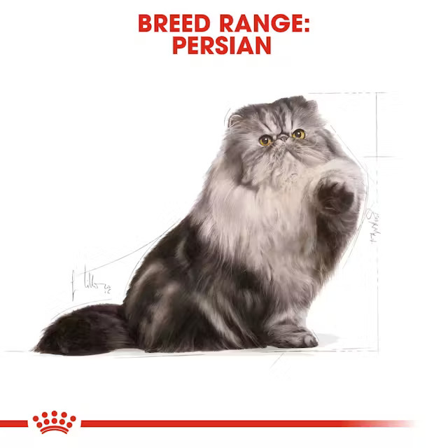 غذا خشک گربه پرشین رویال کنین Royal Canin Persian Adult