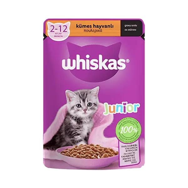 پوچ بچه گربه ویسکاس با طعم مرغ در سس Whiskas chicken in gravy وزن 85 گرم