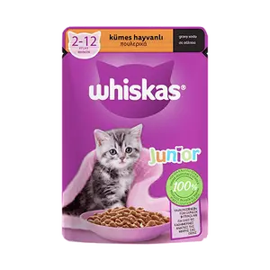 پوچ بچه گربه ویسکاس با طعم مرغ در سس Whiskas chicken in gravy وزن 85 گرم