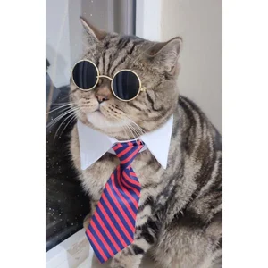 عینک گرد مخصوص پت mepet