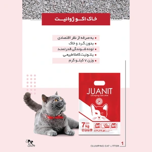 خاک گربه ژوانیت مدل اکو