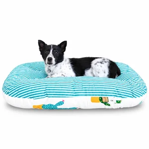 تشک plush کاکتوس پتیوو