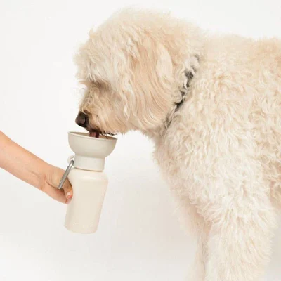 قمقمه و بطری آب سگ