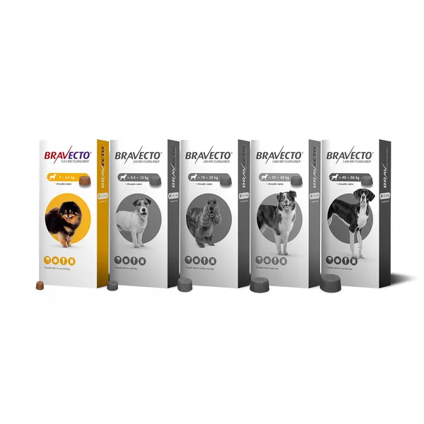 قرص ضد کک و کنه سگ براوکتو هلندی bravecto وزن 2 تا 4.5 کیلوگرم