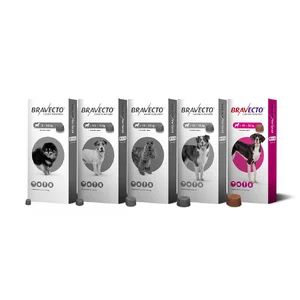 قرص ضد کک و کنه سگ براوکتو هلندی bravecto وزن 40 تا 56 کیلوگرم