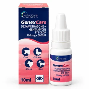 قطره درمان عفونت چشم سگ و گربه ادواکر مدل GENEXCARE